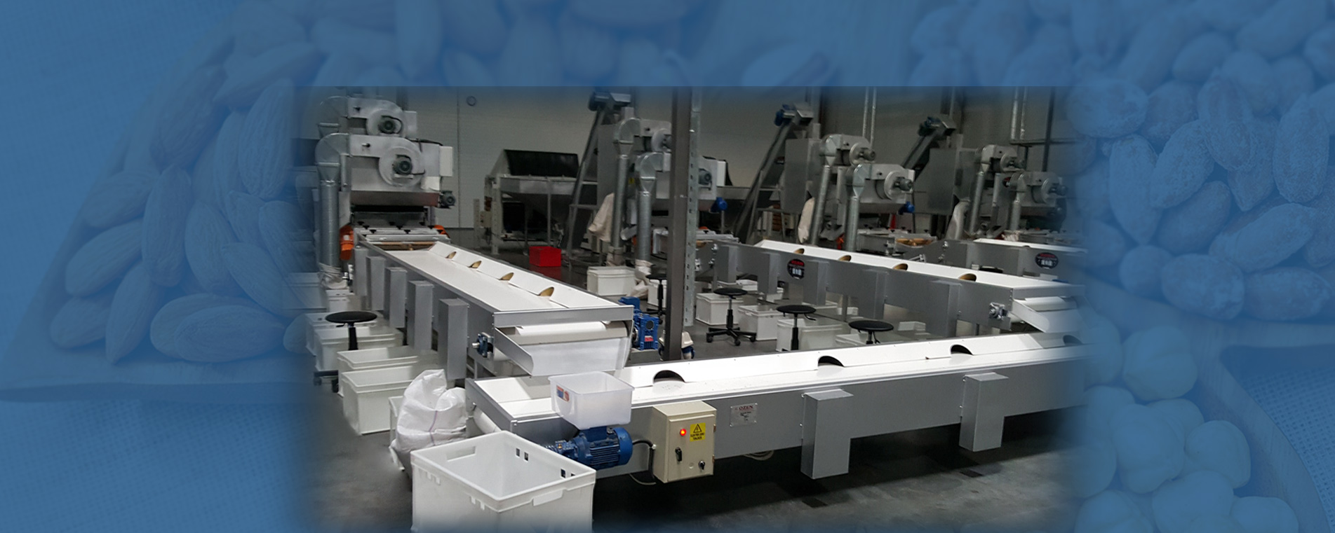 Ceviz Kırma Makinesi