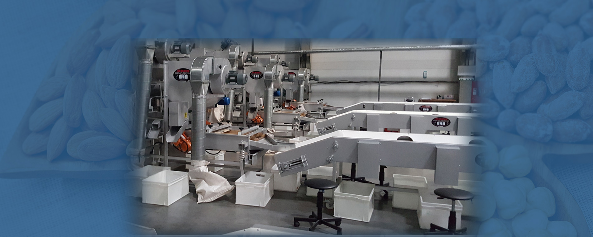 Ceviz Kırma Makinesi